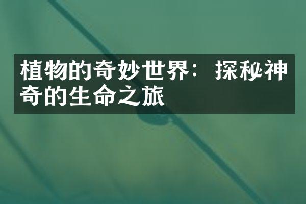 植物的奇妙世界：探秘神奇的生命之旅