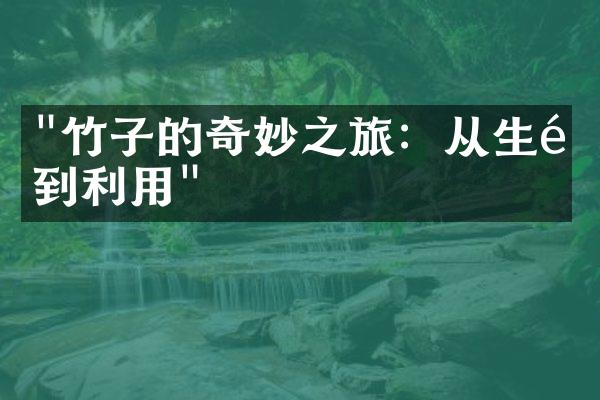 "竹子的奇妙之旅：从生长到利用"