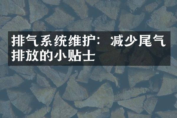 排气系统维护：减少尾气排放的小贴士