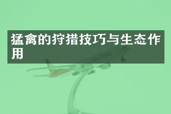 猛禽的狩猎技巧与生态作用