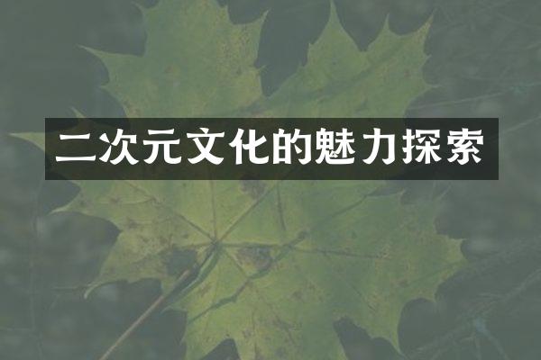 二次元文化的魅力探索