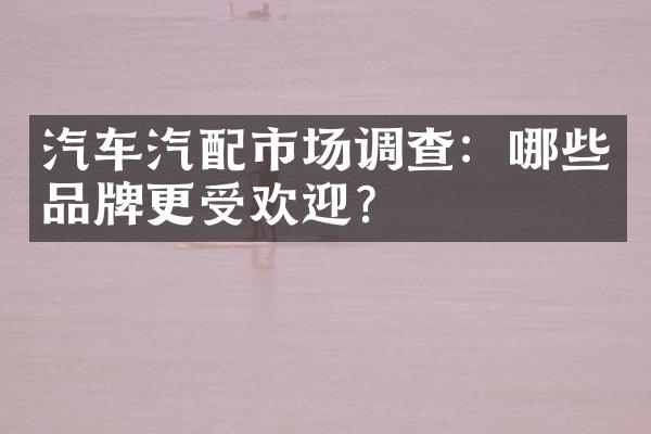 汽车汽配市场调查：哪些品牌更受欢迎？