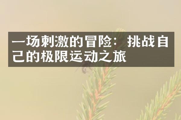 一场刺激的冒险：挑战自己的极限运动之旅