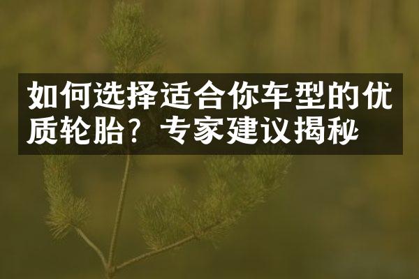 如何选择适合你车型的优质轮胎？专家建议揭秘