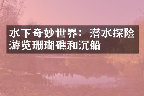 水下奇妙世界：潜水探险游览珊瑚礁和沉船