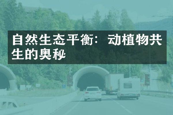 自然生态平衡：动植物共生的奥秘