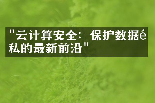 "云计算安全：保护数据隐私的最新前沿"