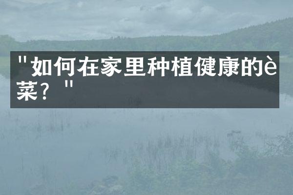 "如何在家里种植健康的蔬菜？"