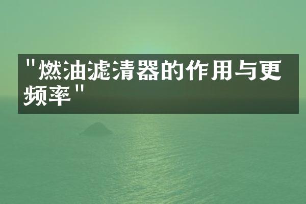 "燃油滤清器的作用与更换频率"