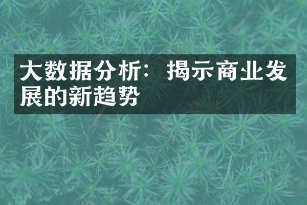 大数据分析：揭示商业发展的新趋势