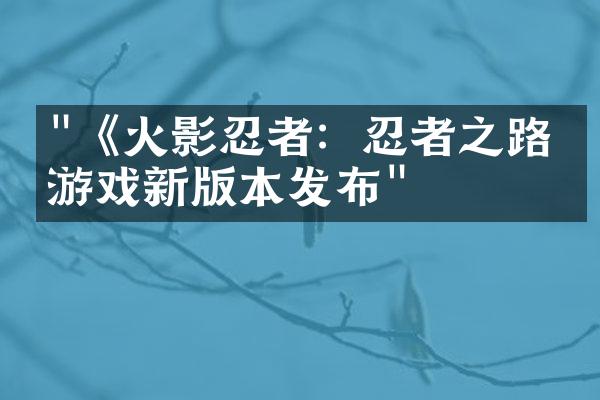 "《火影忍者：忍者之路》游戏新版本发布"