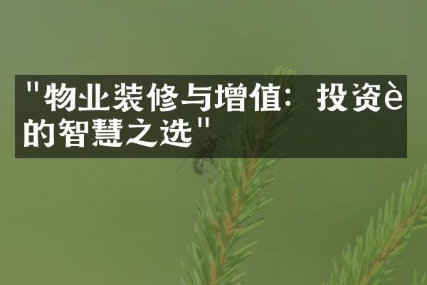 "物业装修与增值：投资者的智慧之选"