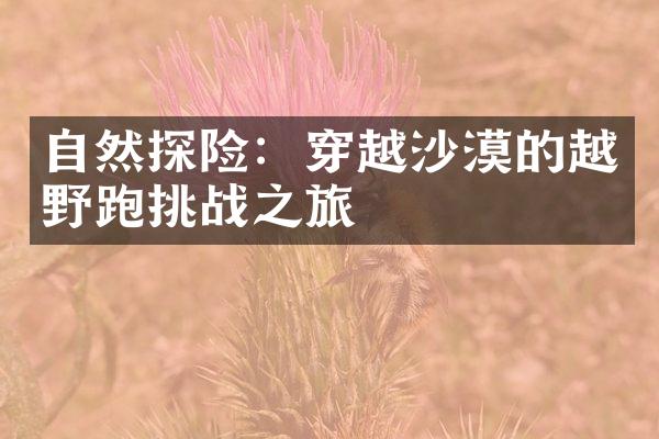 自然探险：穿越沙漠的越野跑挑战之旅