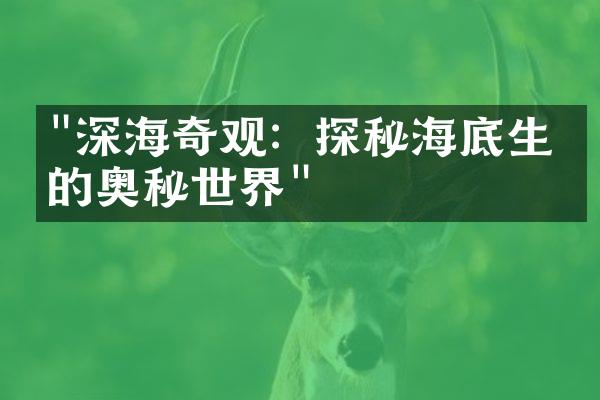 "深海奇观：探秘海底生物的奥秘世界"