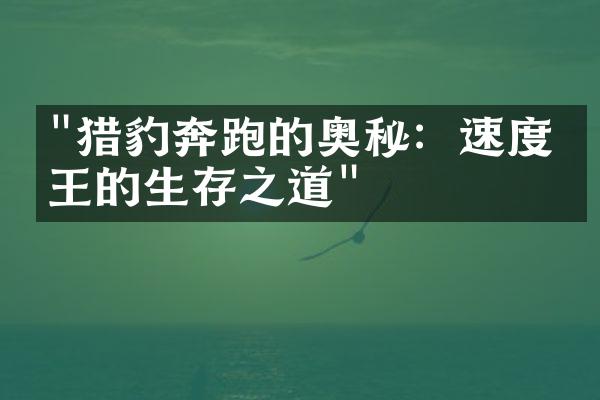 "猎豹奔跑的奥秘：速度之王的生存之道"