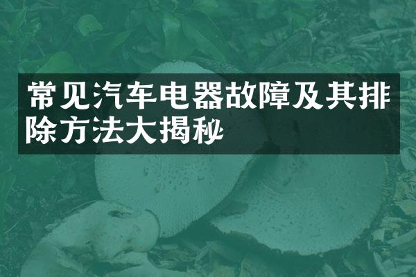 常见汽车电器故障及其排除方法大揭秘