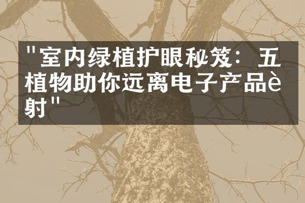 "室内绿植护眼秘笈：五款植物助你远离电子产品辐射"