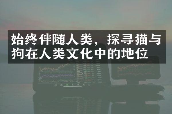 始终伴随人类，探寻猫与狗在人类文化中的地位