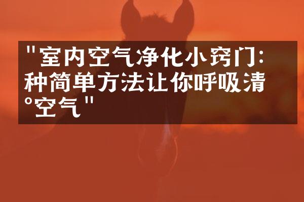 "室内空气净化小窍门：五种简单方法让你呼吸清新空气"