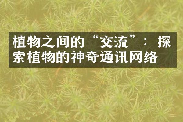 植物之间的“交流”：探索植物的神奇通讯网络
