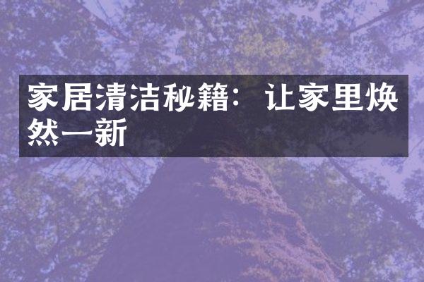 家居清洁秘籍：让家里焕然一新