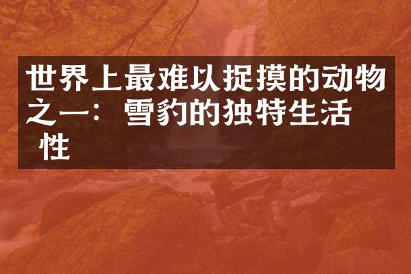 世界上最难以捉摸的动物之一：雪豹的独特生活习性