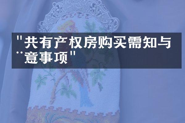 "共有产权房购买需知与注意事项"