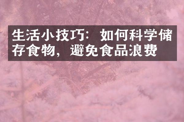 生活小技巧：如何科学储存食物，避免食品浪费？