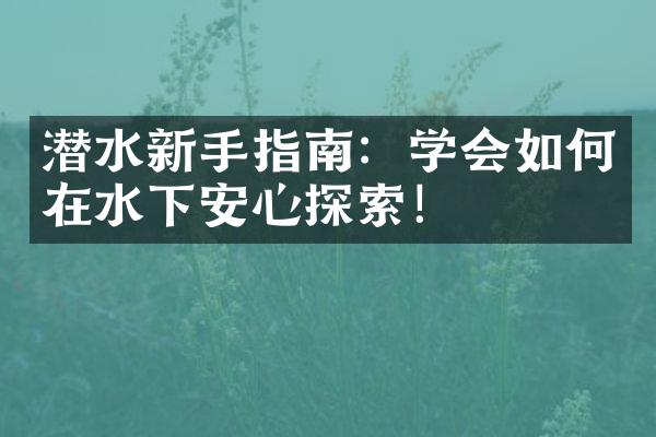 潜水新手指南：学会如何在水下安心探索！