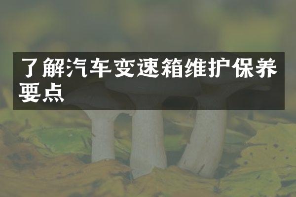 了解汽车变速箱维护保养要点