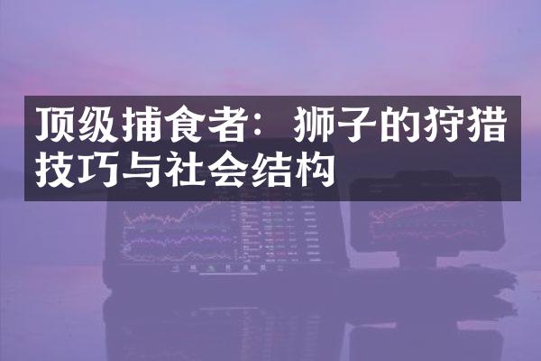 顶级捕食者：狮子的狩猎技巧与社会结构