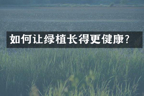 如何让绿植长得更健康？