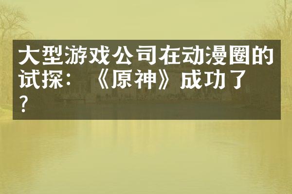 大型游戏公司在动漫圈的试探：《原神》成功了吗？