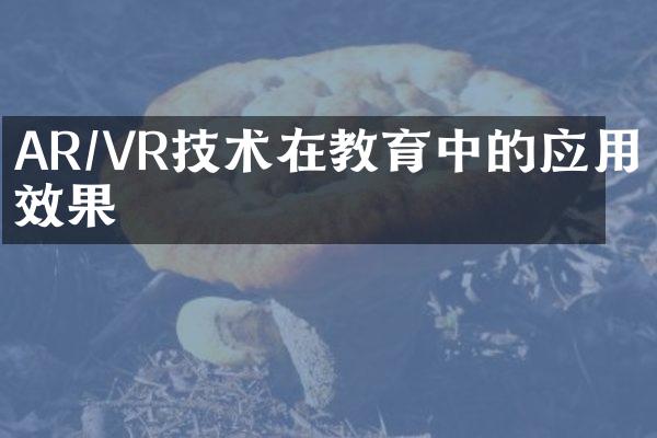 AR/VR技术在教育中的应用与效果