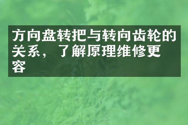 方向盘转把与转向齿轮的关系，了解原理维修更从容