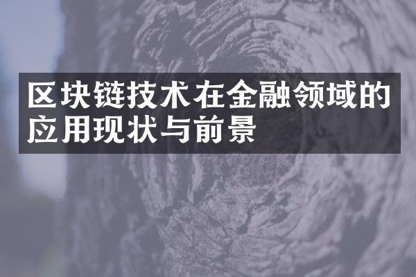 区块链技术在金融领域的应用现状与前景