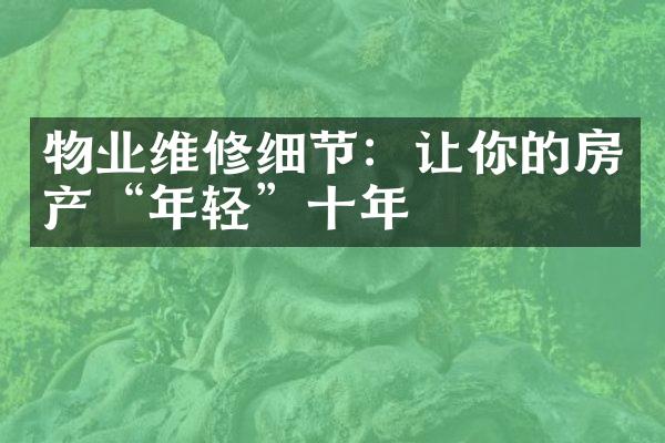 物业维修细节：让你的房产“年轻”十年