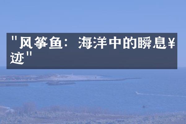 "风筝鱼：海洋中的瞬息奇迹"