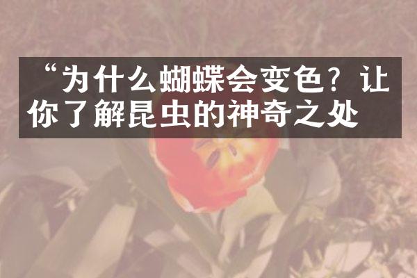 “为什么蝴蝶会变色？让你了解昆虫的神奇之处”