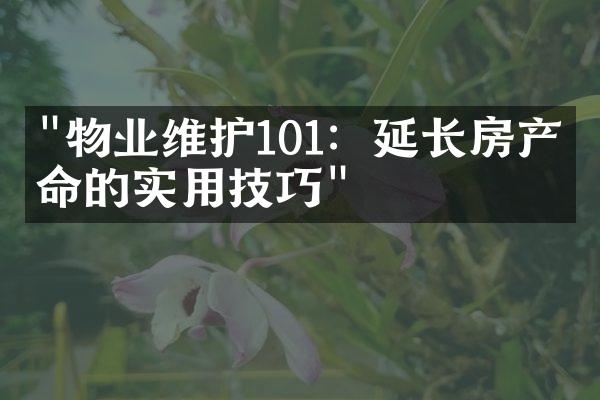 "物业维护101：延长房产寿命的实用技巧"