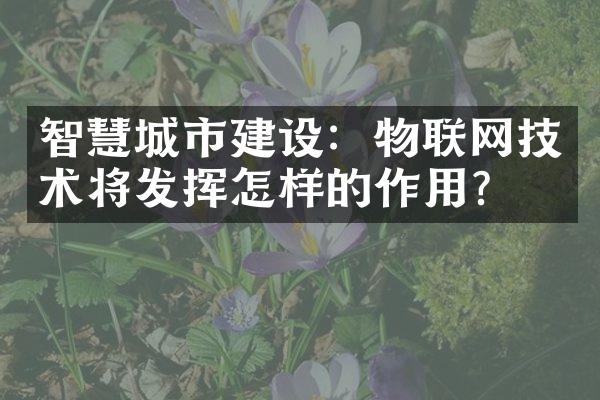 智慧城市建设：物联网技术将发挥怎样的作用？