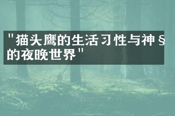 "猫头鹰的生活习性与神秘的夜晚世界"
