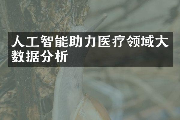 人工智能助力医疗领域大数据分析