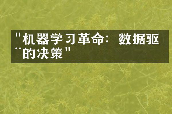 "机器学习革命：数据驱动的决策"
