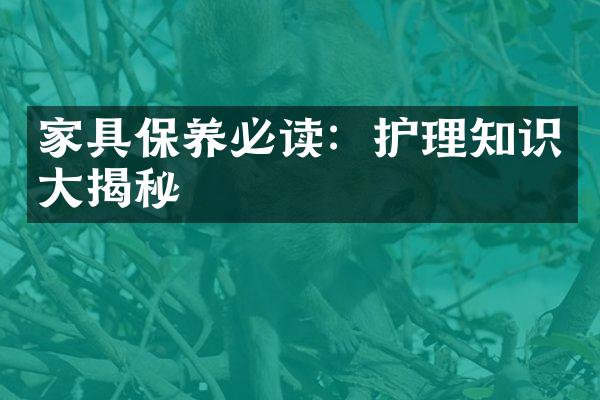 家具保养必读：护理知识大揭秘