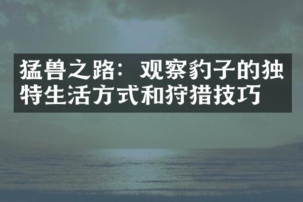 猛兽之路：观察豹子的独特生活方式和狩猎技巧