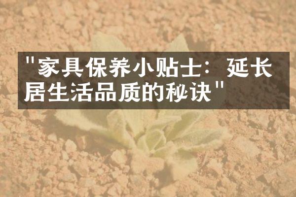 "家具保养小贴士：延长家居生活品质的秘诀"