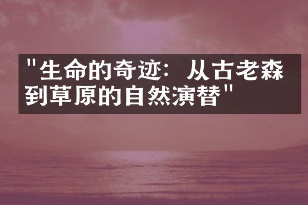 "生命的奇迹：从古老森林到草原的自然演替"