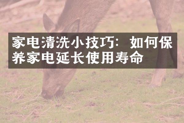 家电清洗小技巧：如何保养家电延长使用寿命