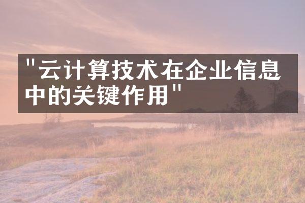 "云计算技术在企业信息化中的关键作用"